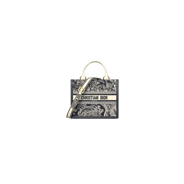 Small Dior Book Tote