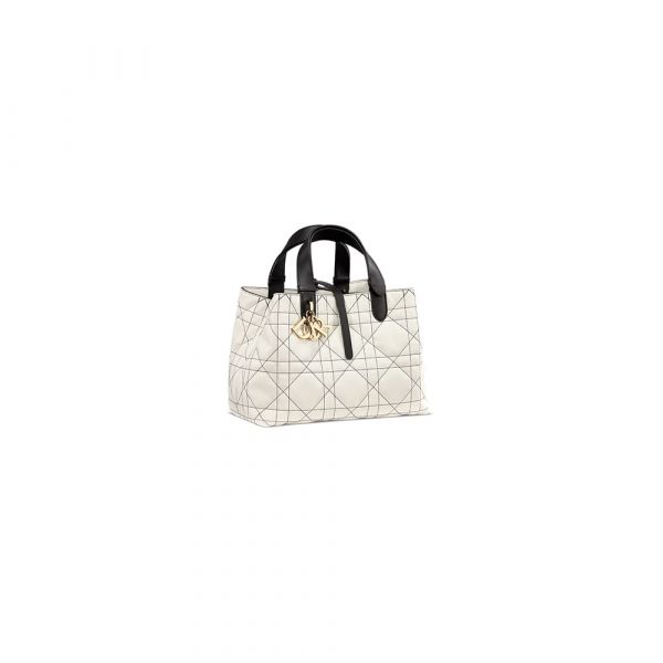 Dior Medium Dior Toujours Bag
