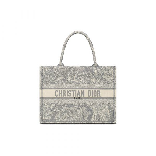SMALL DIOR BOOK TOTE