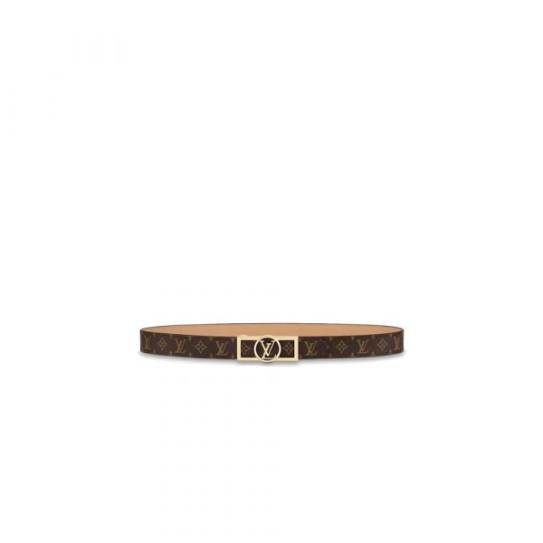 LV 25mm reversible belt