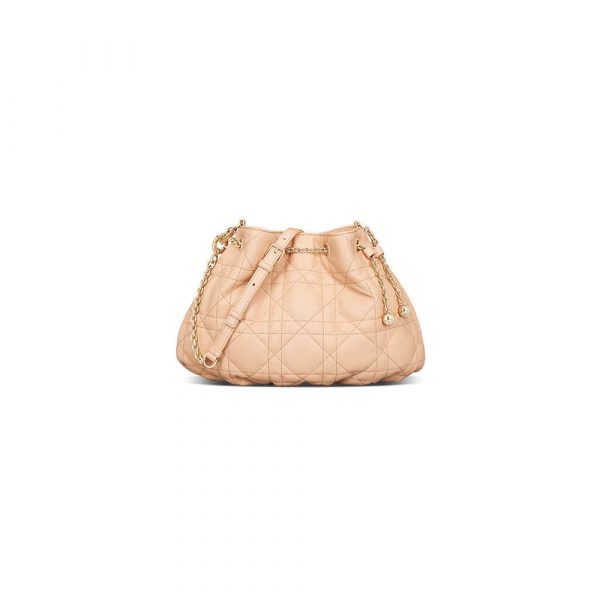 MEDIUM DIOR AMMI BAG