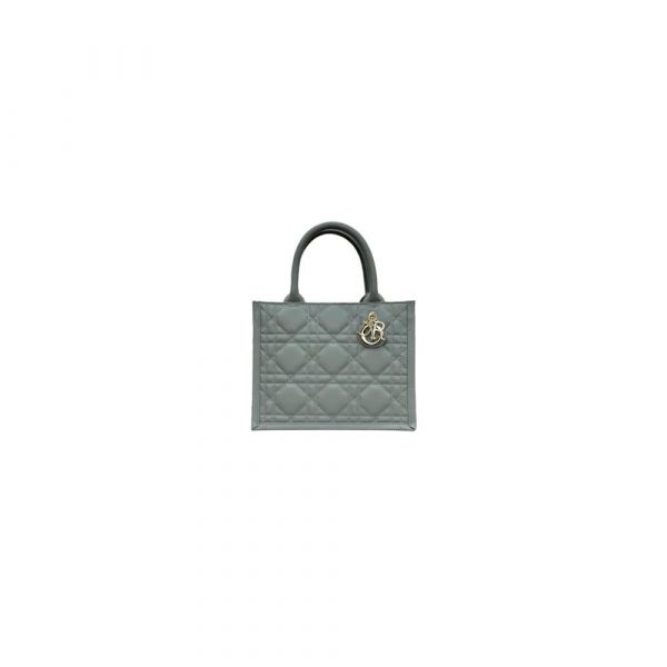 Dior Small Dior Book Tote