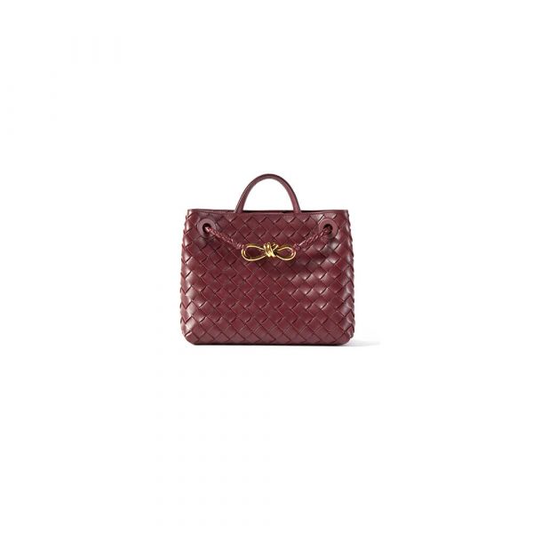 Bottega Veneta Medium Andiamo