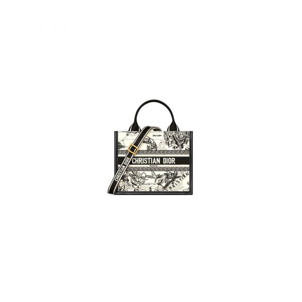 Small Dior Book Tote