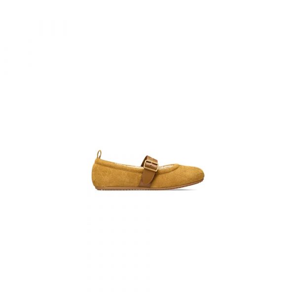 DiorAlps Dior Frost Ballet Flat