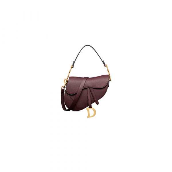Dior Saddle Bag with Strap