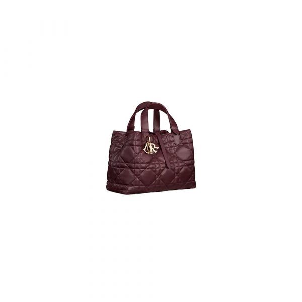 Medium Dior Toujours Bag