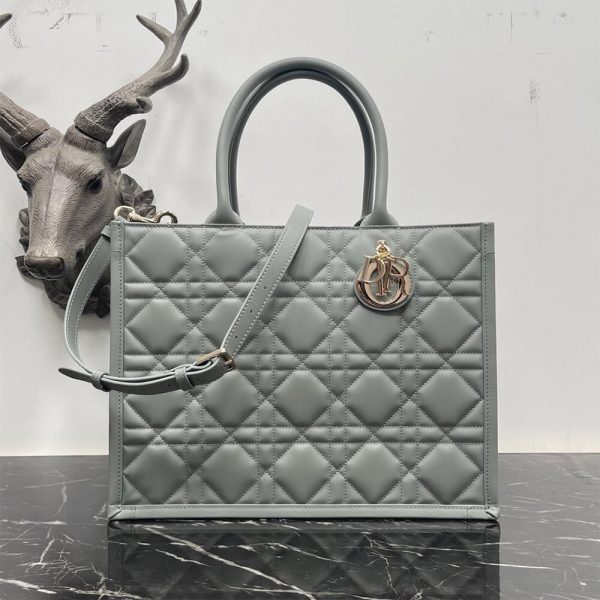 Dior Medium Dior Book Tote