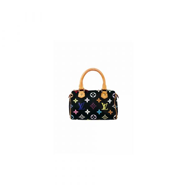 LV Multicolor Nano Speedy Bag