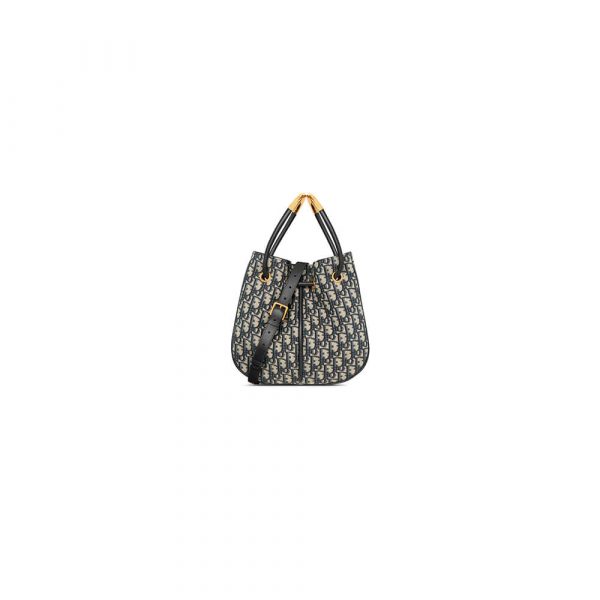 Medium Dior Nolita Bag