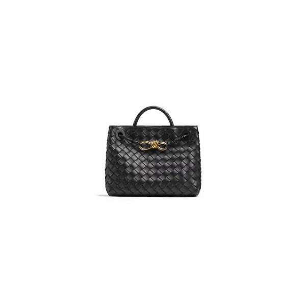 Bottega Veneta Small Andiamo