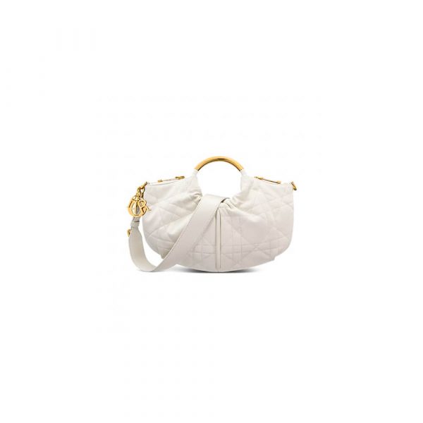 Dior Walk in Dior Purse