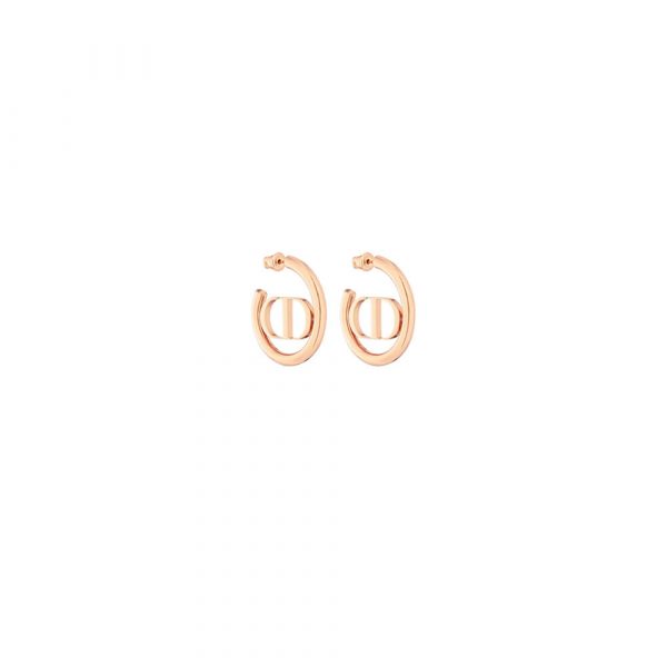 DIOR Earrings