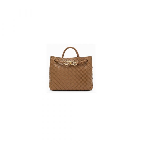 Bottega Veneta Medium Andiamo