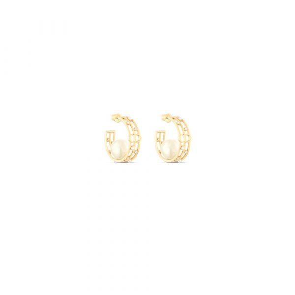 Dior D-Backstage Earrings