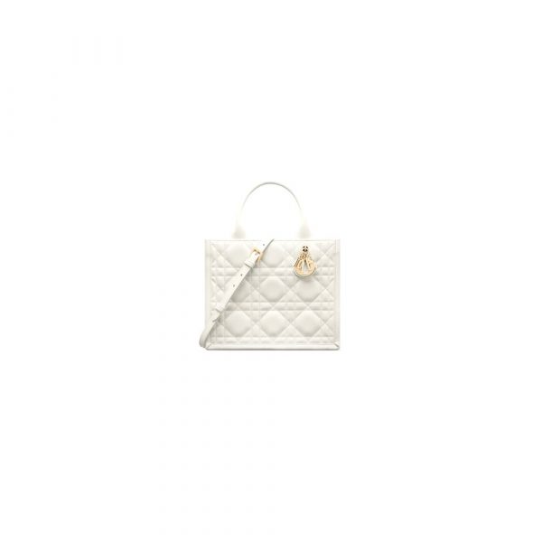 Dior Small Dior Book Tote