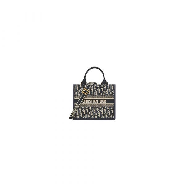 Small Dior Book Tote