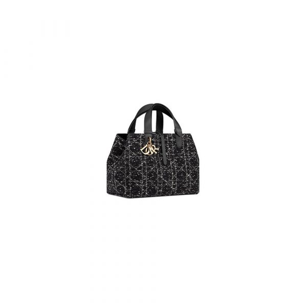 Medium Dior Toujours Bag