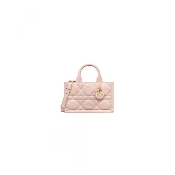 Dior Mini Dior Book Tote
