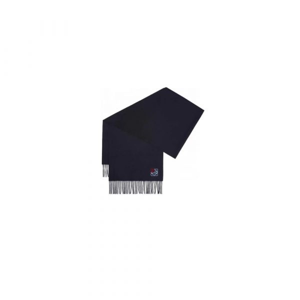 LOEWE Scarf